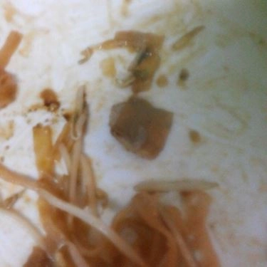 Tổng hợp- Quán Ăn Phá Lấu Người Hồng Kông - Trung Tự