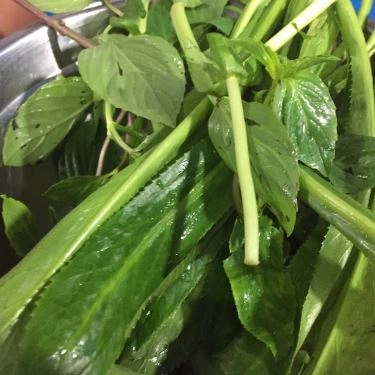 Tổng hợp- Quán Ăn Phiêu Ký - Hủ Tiếu Sa Tế
