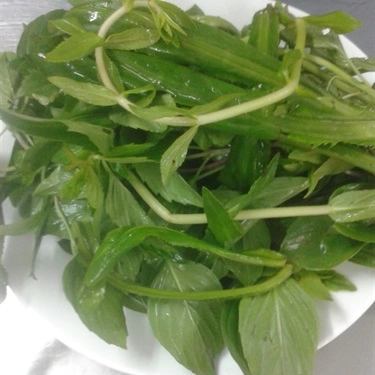 Món ăn- Quán Ăn Phở 270