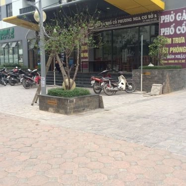 Tổng hợp- Quán Ăn Phương Nga - Phở Bò Gà