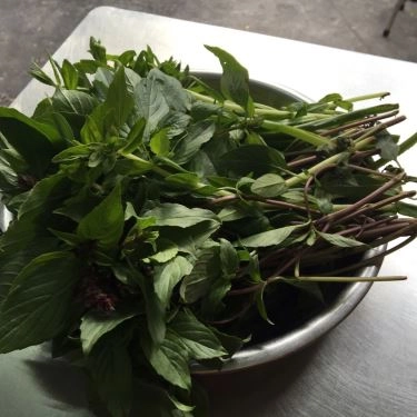 Tổng hợp- Quán Ăn Miến Phở Gà 43 Mạc Đĩnh Chi - Trần Quốc Toản