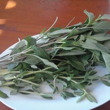 Tổng hợp- Quán Ăn 79 - Phở & Bún Bò Huế