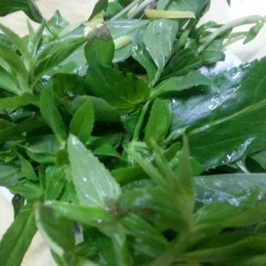 Tổng hợp- Quán Ăn Phở Anh - Kỳ Đồng