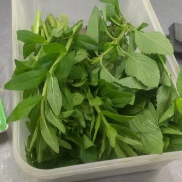 Tổng hợp- Quán Ăn Phở Quỳnh - Đường Số 7