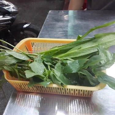 Tổng hợp- Quán Ăn Phở Bình - Cao Thắng
