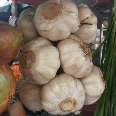 Tổng hợp- Quán Ăn Phở Bò 207
