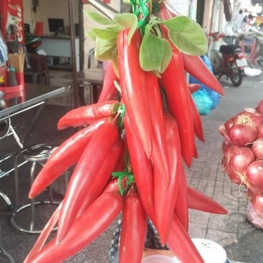 Tổng hợp- Quán Ăn Phở Bò 207