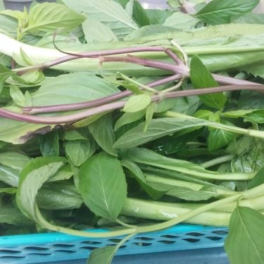 Tổng hợp- Quán Ăn Phở Bò 207