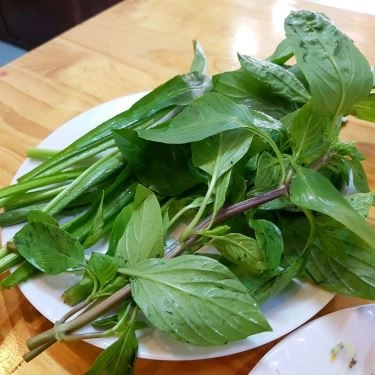 Tổng hợp- Quán Ăn Phở Bò Hà Nội