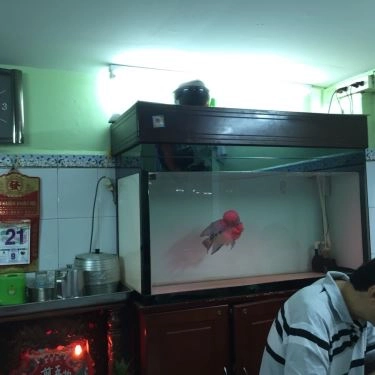 Tổng hợp- Quán Ăn Hủ Tiếu Bò Viên 153