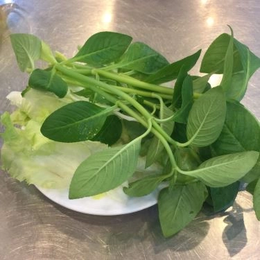 Tổng hợp- Quán Ăn Phở Cao Thắng