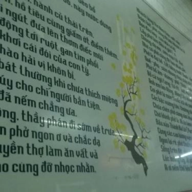 Tổng hợp- Quán Ăn Phở Cao Vân