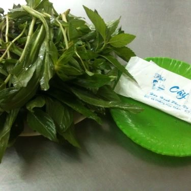 Tổng hợp- Quán Ăn Phở Cây Quéo - Hoàng Hoa Thám