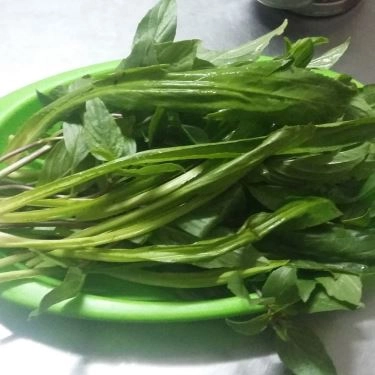 Tổng hợp- Quán Ăn Phở Cây Quéo - Hoàng Hoa Thám