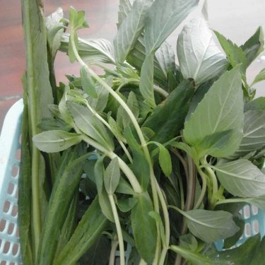 Tổng hợp- Quán Ăn Phở Cô Bảy - Đại Lộ Bình Dương