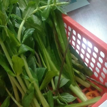 Món ăn- Quán Ăn Phở Cô Bảy - Đại Lộ Bình Dương