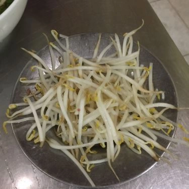 Tổng hợp- Quán Ăn Phở Cô Hoa