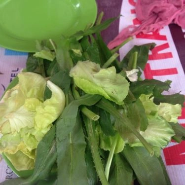 Tổng hợp- Quán Ăn Phở Cô Kiều
