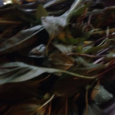 Tổng hợp- Quán Ăn Phở Đức