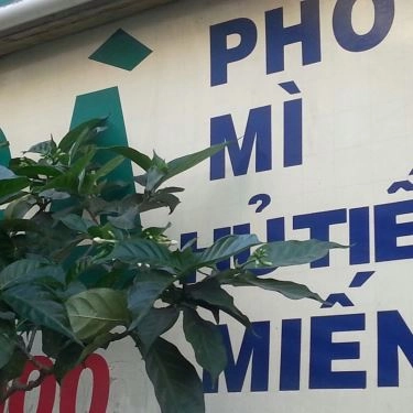 Tổng hợp- Quán Ăn Phở Gà 198 - Huỳnh Văn Bánh