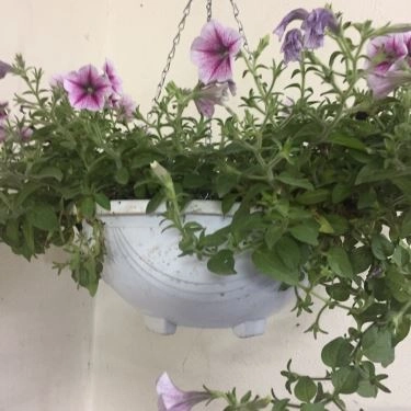 Tổng hợp- Quán Ăn Phở Gà 365 - Trương Công Giai