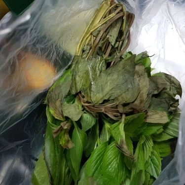Tổng hợp- Quán Ăn Phở Gà Tràng An