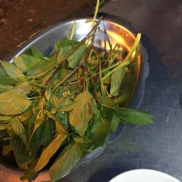 Tổng hợp- Quán Ăn Phở Gia Hân - Chu Văn An