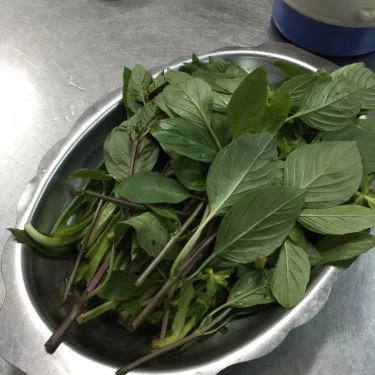 Tổng hợp- Quán Ăn Phở Gia Hân - Chu Văn An