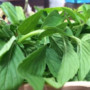 Món ăn- Quán Ăn Phở Gia Truyền - An Dương Vương