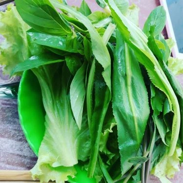 Tổng hợp- Quán Ăn Phở Gõ - Trần Nhật Duật