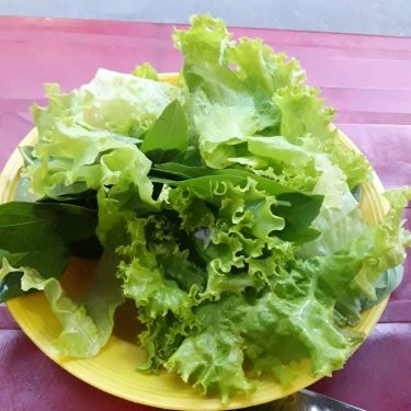 Tổng hợp- Quán Ăn Phở Gõ & Bò Viên