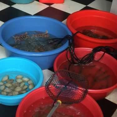 Tổng hợp- 24H - Phở Hạ Long