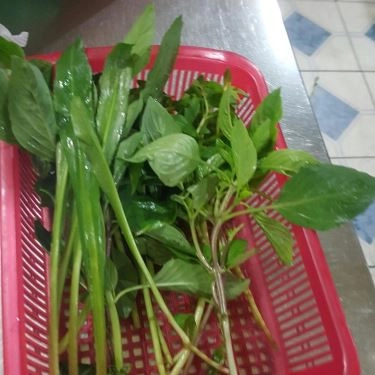 Món ăn- Quán Ăn Phở Đệ Nhất Gia Truyền