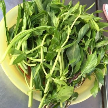 Món ăn- Quán Ăn Phở Hạnh Phúc