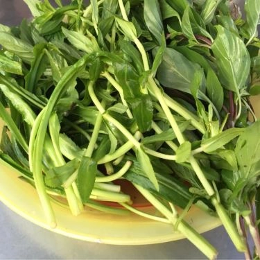 Món ăn- Quán Ăn Phở Hạnh Phúc