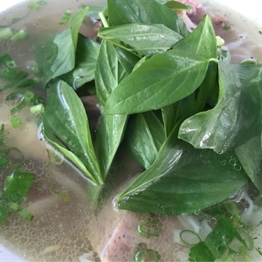 Món ăn- Quán Ăn Phở Hạnh Phúc