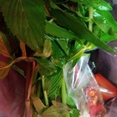Món ăn- Quán Ăn Phở Hiền - Phạm Văn Đồng