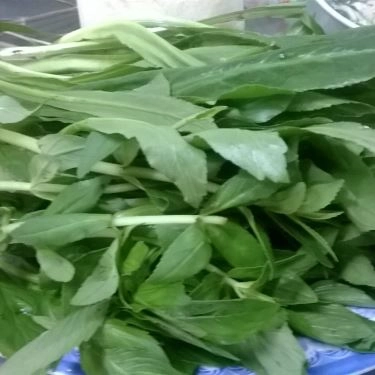 Tổng hợp- Quán Ăn Phở Hòa