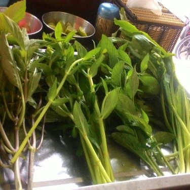 Tổng hợp- Quán Ăn Phở Hoàng 1 - Phạm Hùng