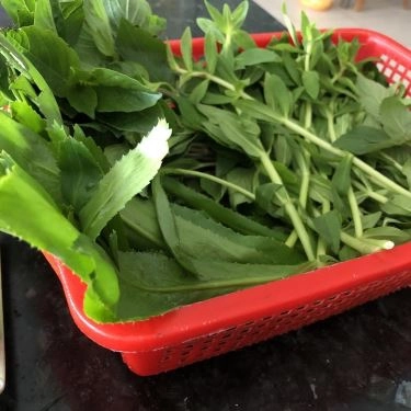 Tổng hợp- Quán Ăn Phở Hồng - Đại Lộ Bình Dương