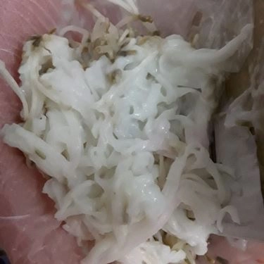 Tổng hợp- Quán Ăn Phở Hot