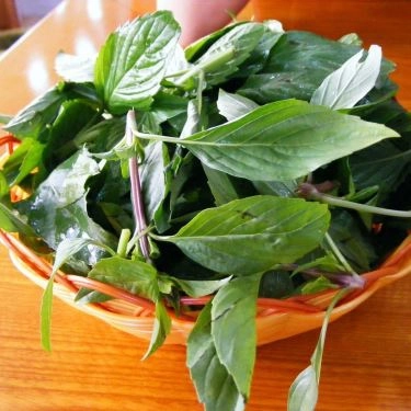 Tổng hợp- Quán Ăn Phở Hùng Ngân - Lê Đức Thọ