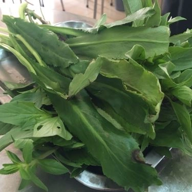 Tổng hợp- Quán Ăn Phở Hương Bình - Gà & Bò