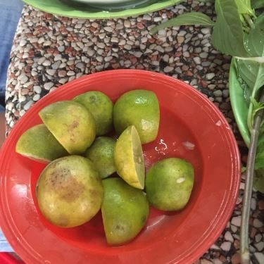 Tổng hợp- Quán Ăn Phở Huỳnh Mai
