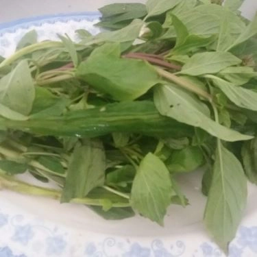 Tổng hợp- Quán Ăn Phở Lan - Nguyễn Thái Sơn