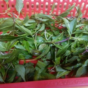 Tổng hợp- Quán Ăn Phở - Lê Hữu Trác