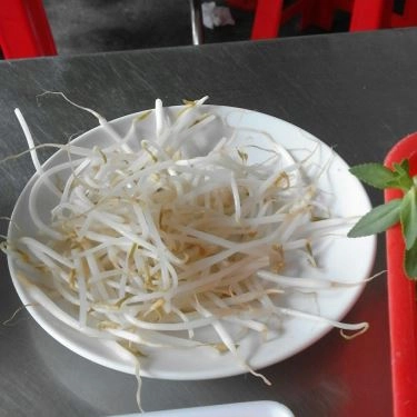 Tổng hợp- Quán Ăn Phở Lý Quốc Sư