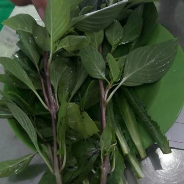 Tổng hợp- Quán Ăn Phở Mạnh Cường