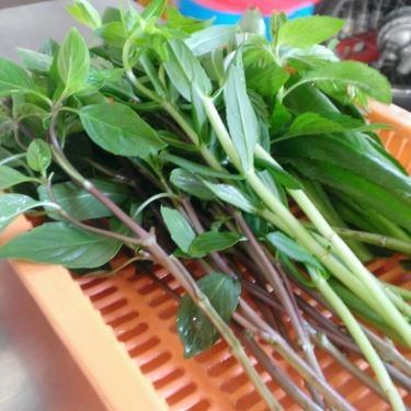 Món ăn- Quán Ăn Phở Minh Tâm