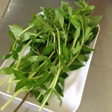 Món ăn- Quán Ăn Phở Một Đô - Phạm Viết Chánh